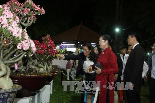 Spring flower festival opens in HCM City to welcome New Year hinh anh 1