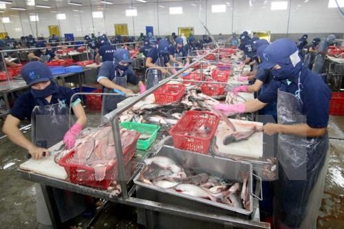 Earnings from key product exports fall in January hinh anh 1