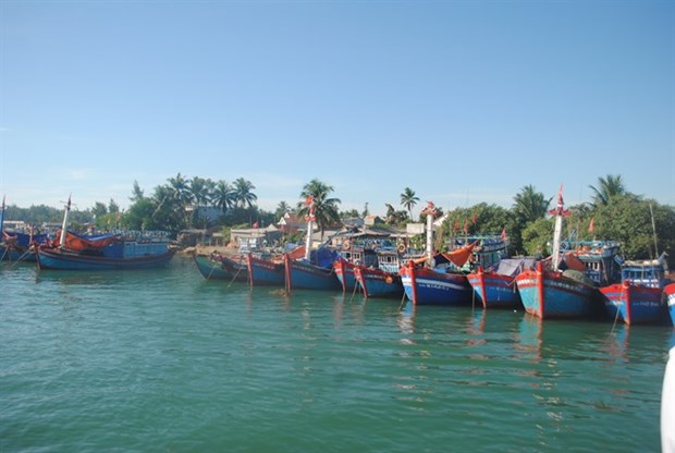 Boat services to Ly Son island increased hinh anh 1