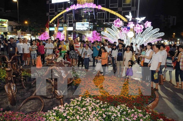 Nguyen Hue flower street opens in HCM City hinh anh 1