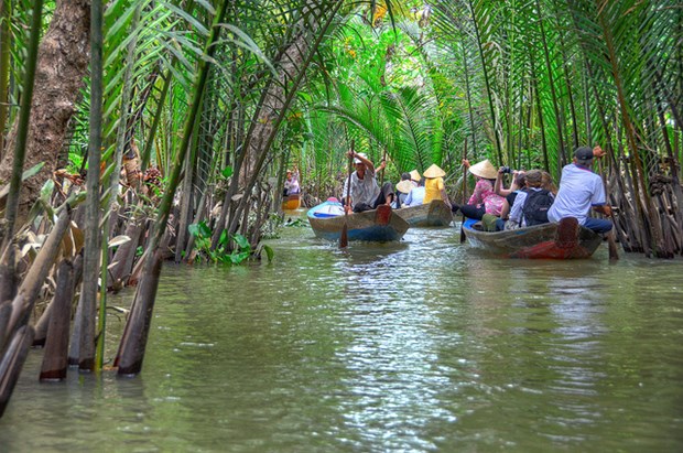 A tour of Thoi Son isle in Mekong Delta province of Tien Giang hinh anh 1