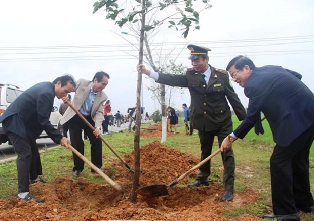 Thua Thien-Hue strives for forest coverage of 57 percent this year hinh anh 1