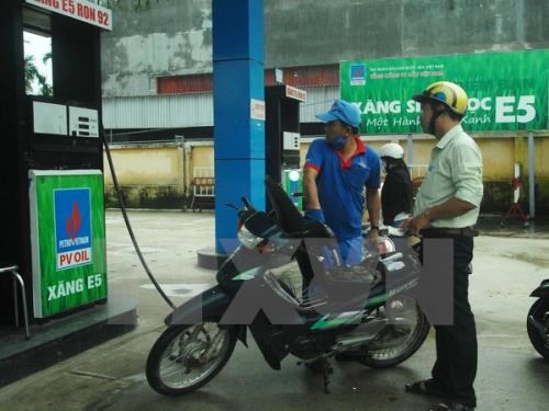 Petrol prices remain unchanged, oil prices drop hinh anh 1