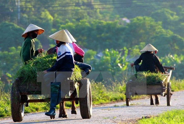 Thua Thien – Hue develops rural areas hinh anh 1