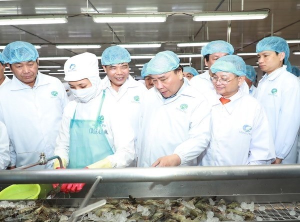 PM tours shrimp processing corporation in Ca Mau hinh anh 1