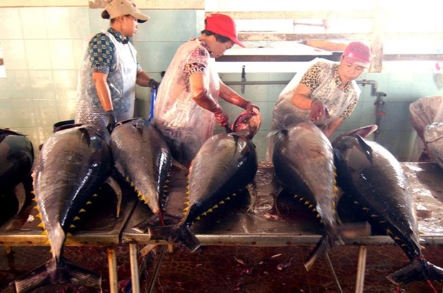 Tuna exporters aim for 8 percent increase this year hinh anh 1