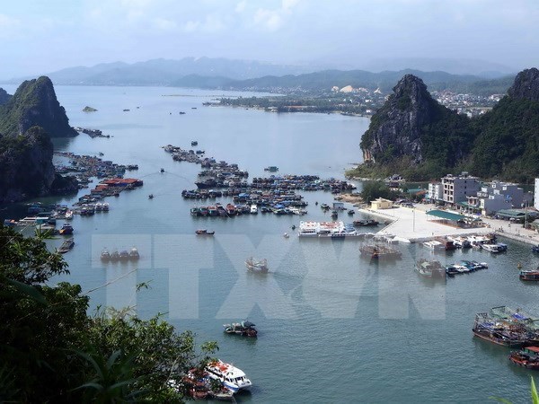 Missing foreign tourist found drowned in Ha Long Bay hinh anh 1
