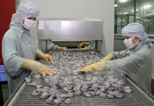 Australia relaxes ban on shrimp import hinh anh 1