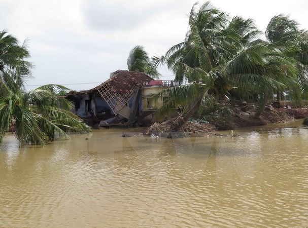 WB experts assist Binh Dinh’s post-disaster rebuilding effort hinh anh 1