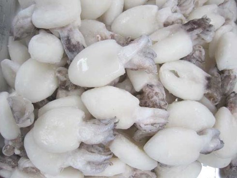 Cuttlefish, octopus export to grow hinh anh 1
