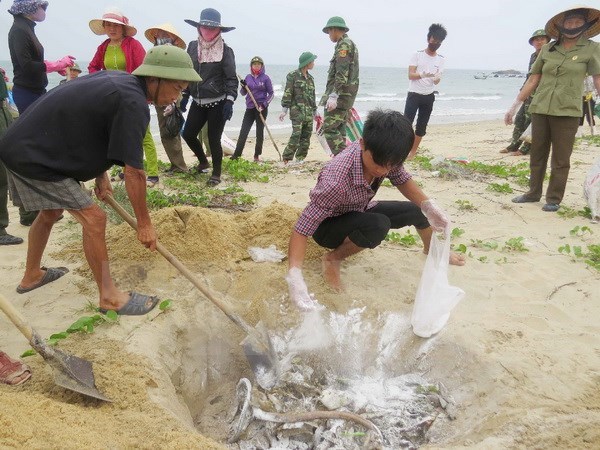 Japanese prefecture helps Can Tho with urban waste water management hinh anh 1