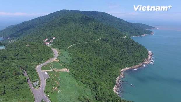 Da Nang focuses on developing Son Tra tourism area hinh anh 1