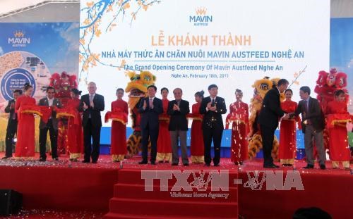14.3-million-USD cattle-feed factory inaugurated in Nghe An hinh anh 1