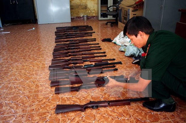 Trafficked guns detected at Noi Bai airport hinh anh 1
