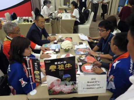 Japanese prefecture seeks opportunity in Vietnam hinh anh 1