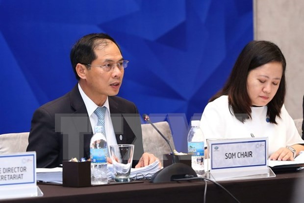 APEC committees’ contribution to help fulfill Bogor goals: official hinh anh 1