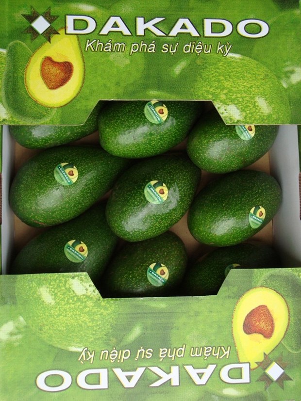Dak Lak avocado targets world market hinh anh 1