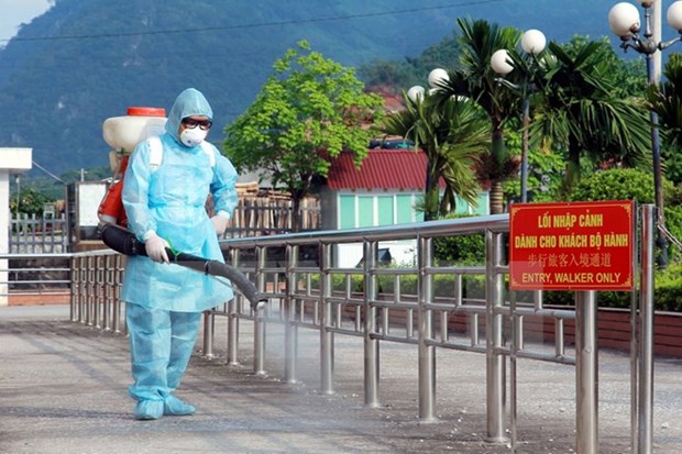Da Nang city on alert for H7N9 outbreaks hinh anh 1