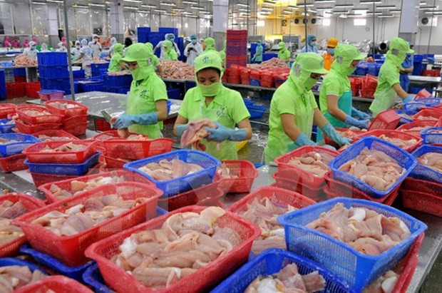 Tra fish export: China lucrative market but high risk hinh anh 1
