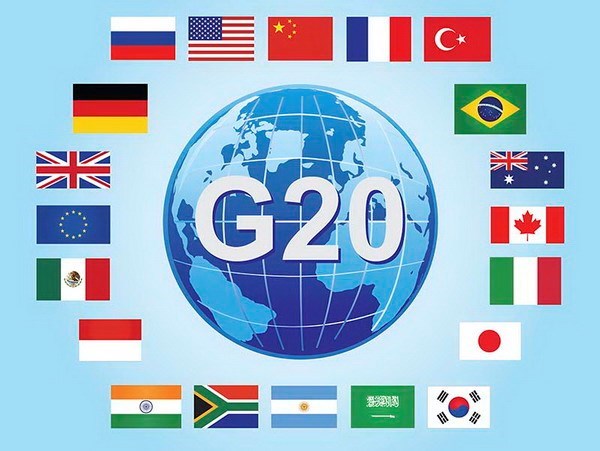 Vietnam active in G20 senior official meeting in Germany hinh anh 1