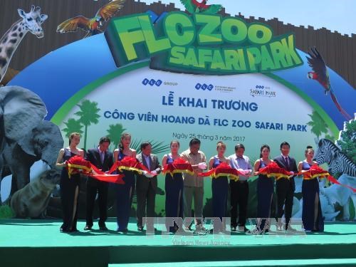 Safari park opened in Binh Dinh province hinh anh 1