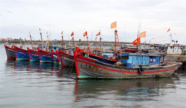 Over 2 trillion VND to support fishermen in Quang Binh hinh anh 1