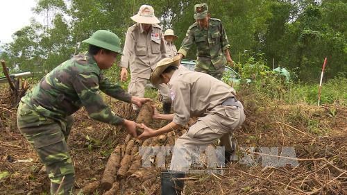 US-based PeaceTrees delegation visits Vietnam hinh anh 1