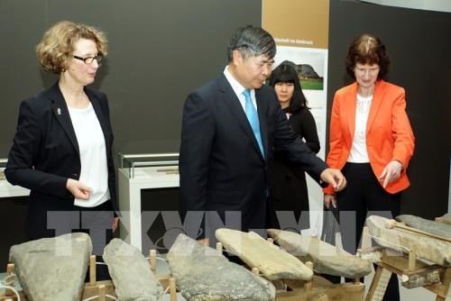 Vietnamese archaeological artefacts displayed in Germany hinh anh 1
