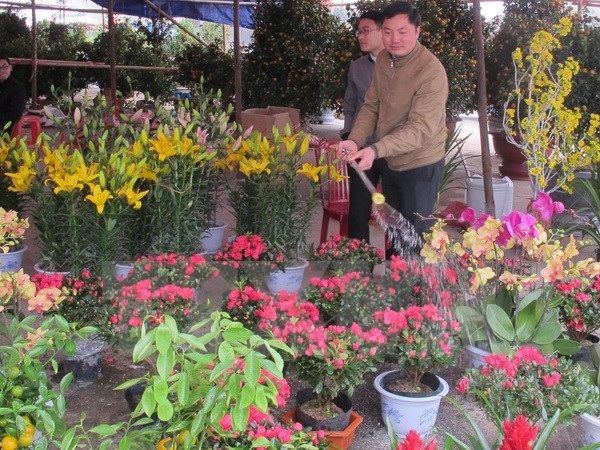 Japanese floriculture firm to invest in Lam Dong hinh anh 1