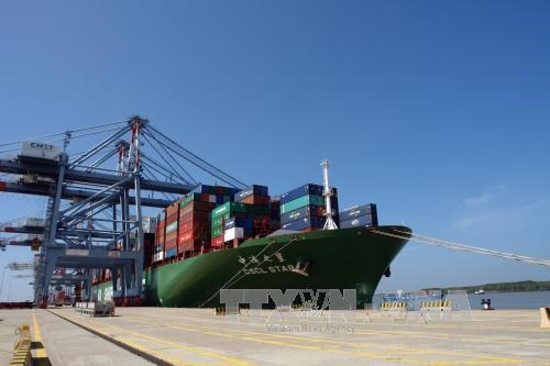 Ba Ria-Vung Tau: One more port receives large container ships hinh anh 1
