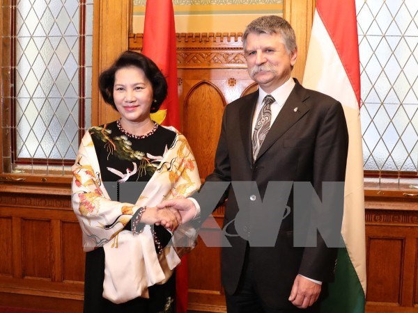 Vietnam, Hungary’s top legislators hold talks hinh anh 1