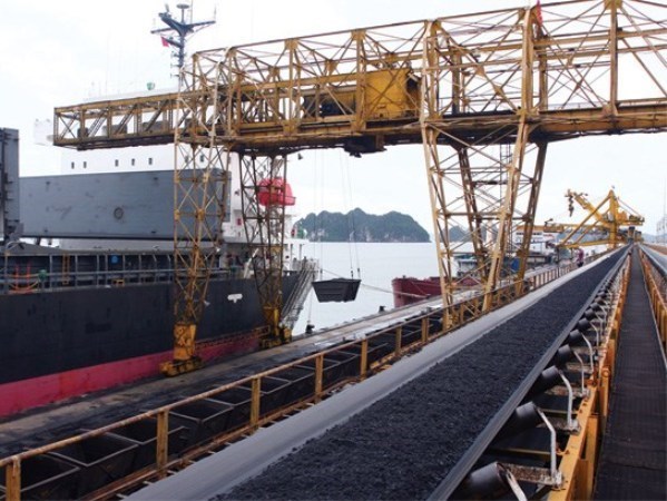 Coal consumption improves in Q1 hinh anh 1