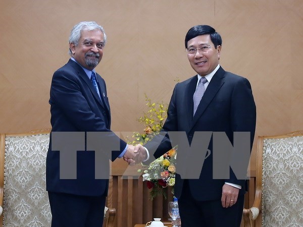 Deputy PM: UN constitutes important part in Vietnam’s foreign policy hinh anh 1