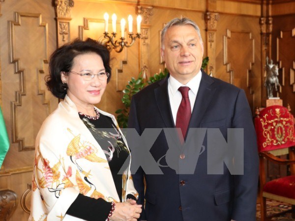 Vietnam welcomes Hungary’s policy to boost bilateral trade hinh anh 1