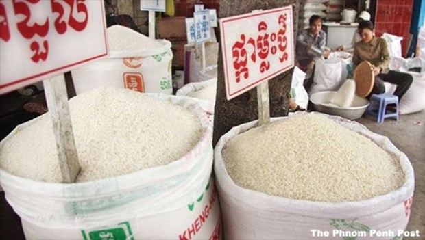 Cambodia calls for Philippine investment in rice production hinh anh 1
