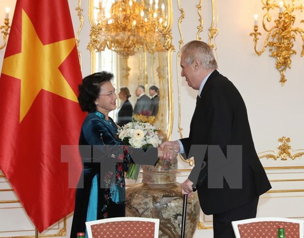 NA Chairwoman meets Czech President hinh anh 1