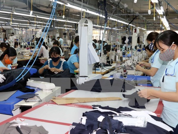 Apparel sector enjoys over 11 percent export growth in Q1 hinh anh 1