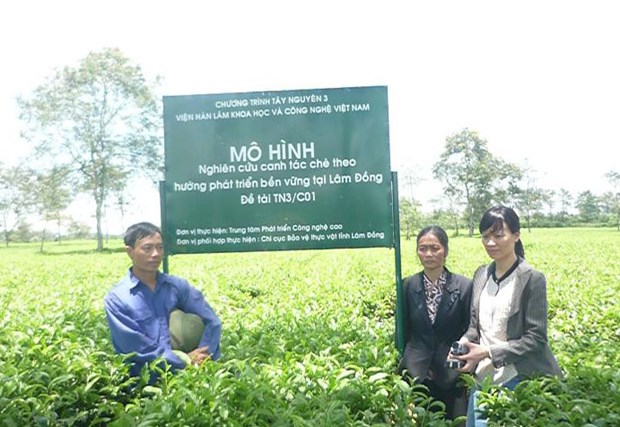 Da Nang set to build new High-tech farms hinh anh 1