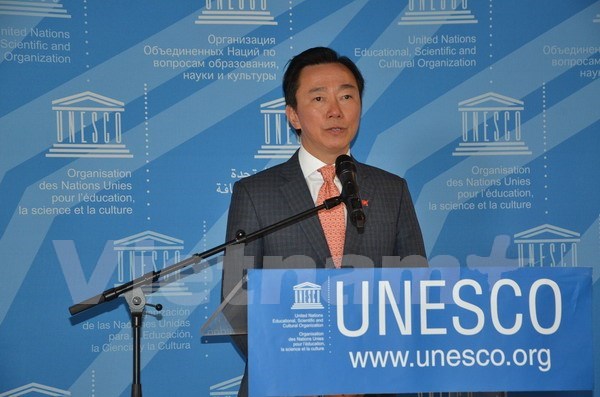 Vietnam runs for UNESCO Director-General position hinh anh 1