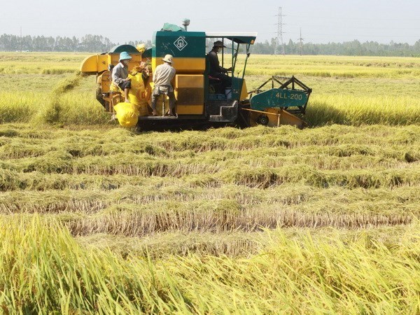 Credit package for hi-tech agriculture hoped to become fruitful hinh anh 1