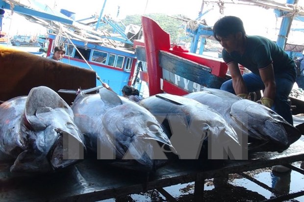 Vietnam, China boost sustainable fishery development in Tonkin Gulf hinh anh 1