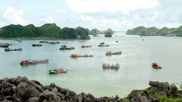 Work starts for big tourism complex in Cat Ba Islands hinh anh 1
