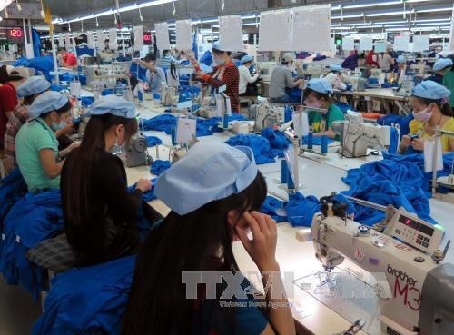 Garment exports enjoy strong growth hinh anh 1
