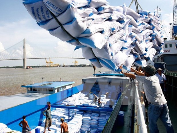 Upbeat signs for Vietnamese rice exports hinh anh 1