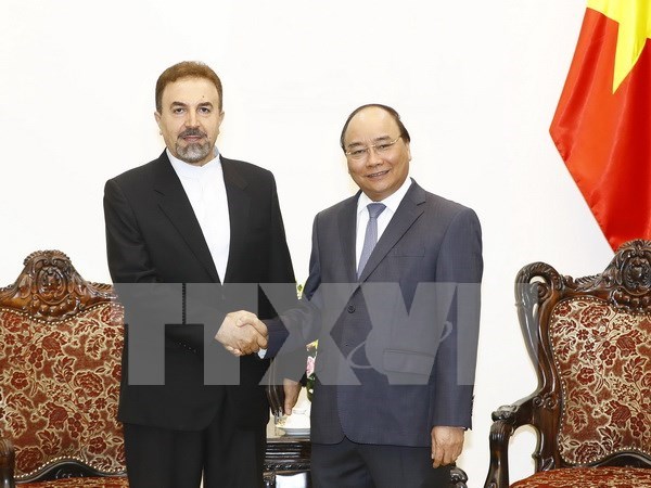 Prime Minister greets Iranian diplomat hinh anh 1