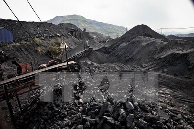 Coal exports surge in four months hinh anh 1