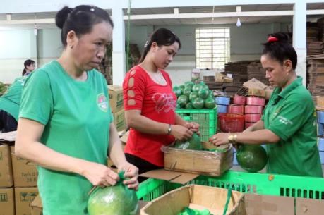 Ho Chi Minh City starts 8th green product consumption campaign hinh anh 1