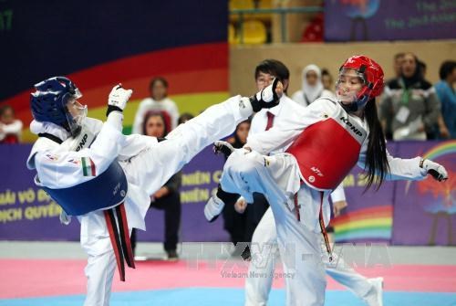 Iran triumphs at Asian Cadet Taekwondo Championships hinh anh 1
