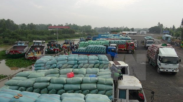 Exports through Lao Cai Int’l Border Gate surge hinh anh 1