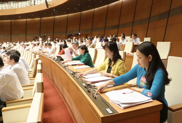 National Assembly approves bill on support for SMEs hinh anh 1